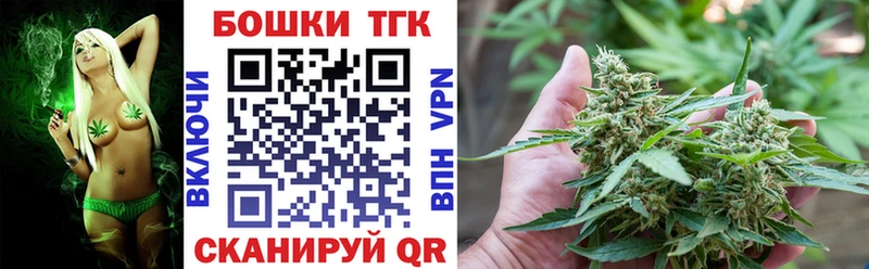 Альфа ПВП Инсар