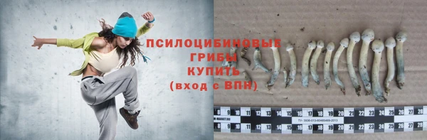 гидра Михайловск