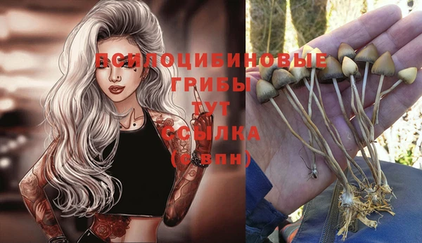 MDMA Premium VHQ Беломорск