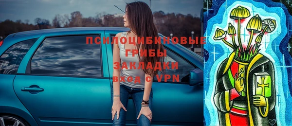твердый Покачи