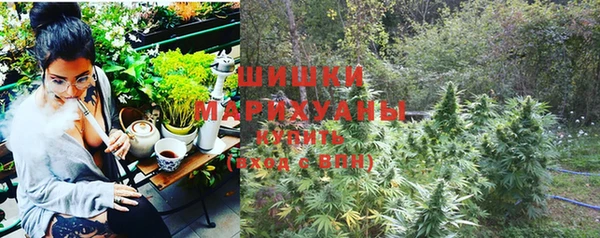 ешки Медногорск
